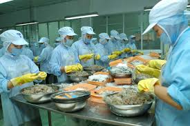 TUYỂN GẤP Tuyển lao động làm thực phẩm tại Đài Bắc: Tăng ca 90h/tháng XUẤT KHẨU LAO ĐỘNG ĐÀI LOAN | BAY NHANH | PHI