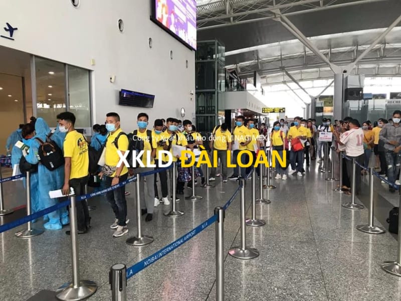 TUYỂN GẤP Thực hiện chuyến bay đưa 290 công dân Việt Nam từ Đài Loan trở về nước ngày XUẤT KHẨU LAO ĐỘNG ĐÀI LOAN | BAY NHANH | PHI